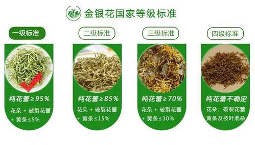 廣西巴馬意生活生態農業產品正式上市 健康農業新標桿，綠色生活新風尚